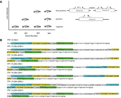 Specific and Sensitive Diagnosis of BCOR-ITD in Various Cancers by Digital PCR